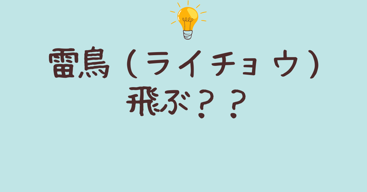 雷鳥（ライチョウ）飛ぶのは本当？飛行が苦手の特徴、驚きの生態を解説